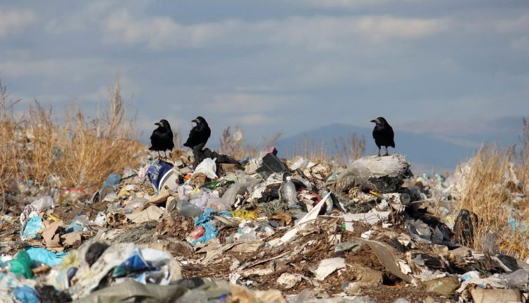 В Запорожской области чиновник “зарыл” в мусор 600 тысяч