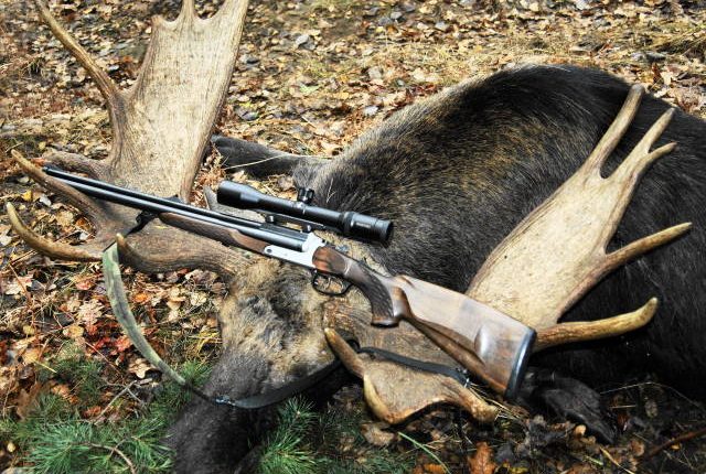 В Украине местные «царьки» истребляют редких животных