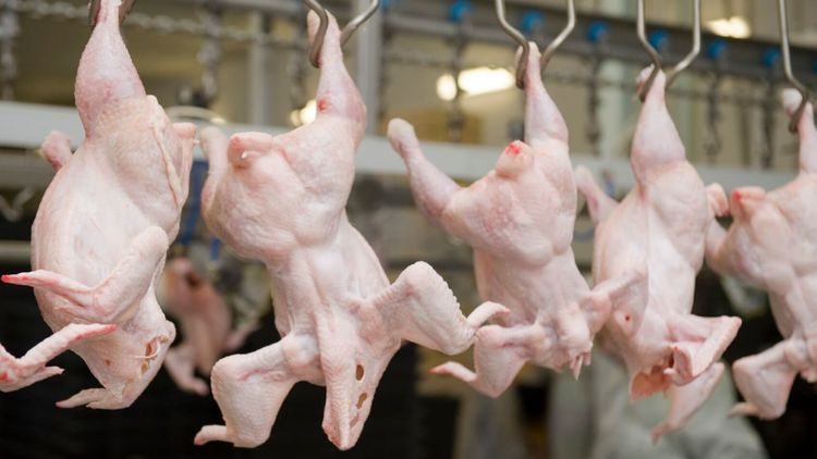 Почему мясо бьет ценовые рекорды