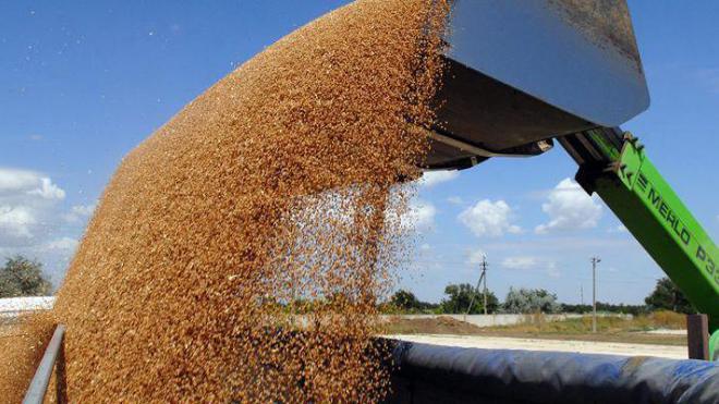 Бывший чиновник сдал подельников, укравших зерно за $ 60 млн