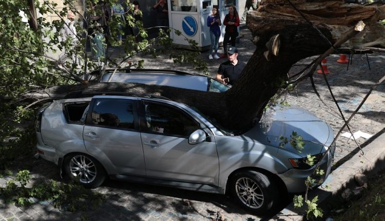 Автомобиль депутата от БПП разбило упавшее дерево