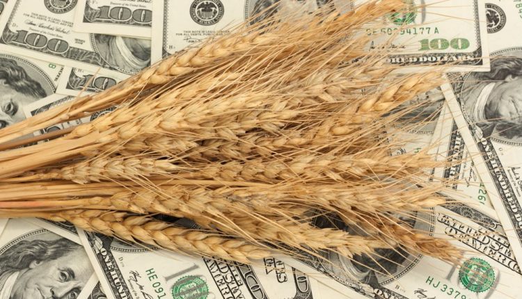 ГФС раскрыла зерновую схему на 6,6 млрд