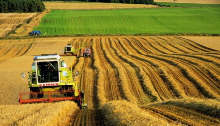 Continental Farmers ведет переговоры о покупке агрохолдинга “Мрия”
