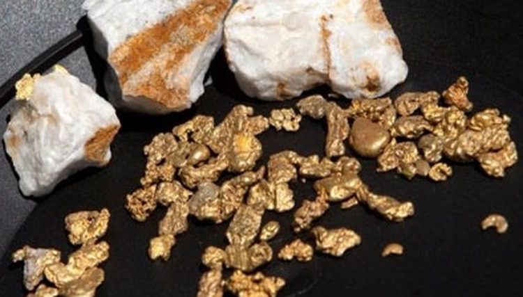 Ученые обнаружили бактерии, которые собирают по крупицам золото