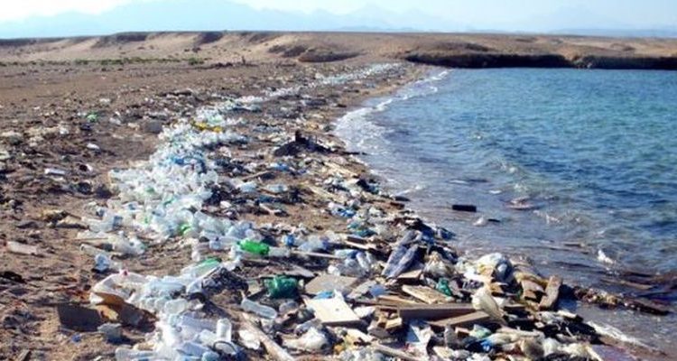 Количество пластика в морях за 10 лет может увеличиться втрое