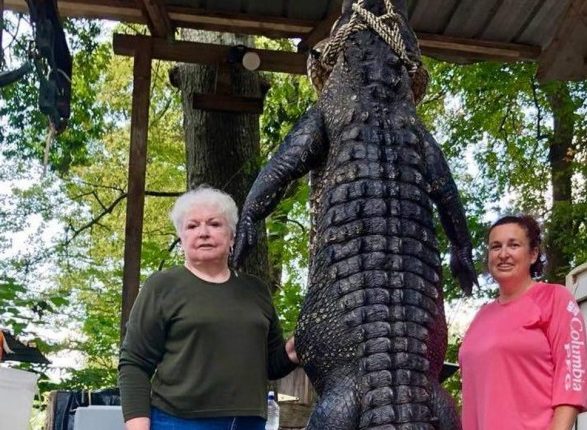 В Техасе старушка-мэр застрелила трехметрового аллигатора