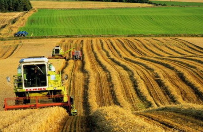 Продажу агрохолдинга “Мрия” подтвердил Порошенко