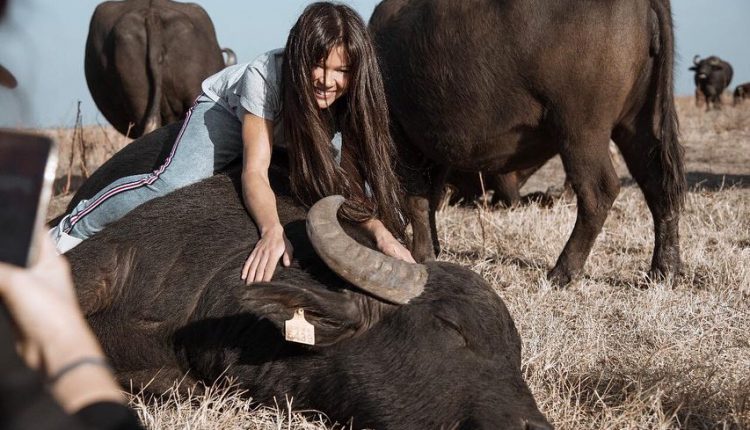 Руслана пообнималась с карпатскими буйволами