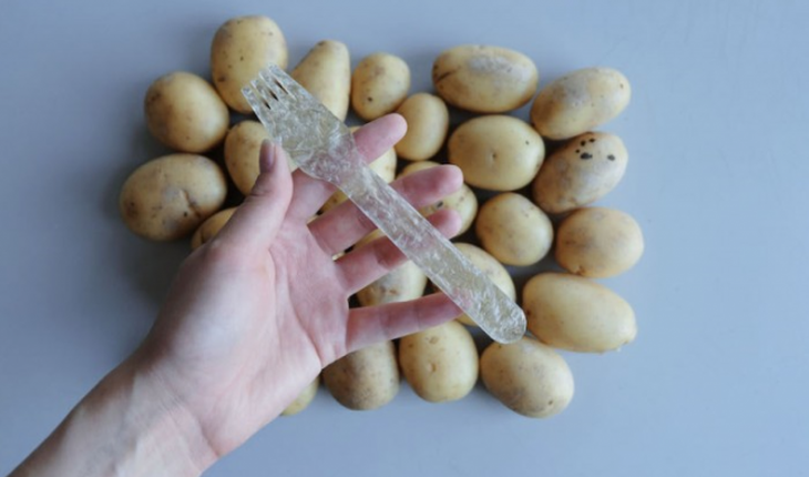 Шведский студент представил на конкурсе пластик из картофельного крахмала