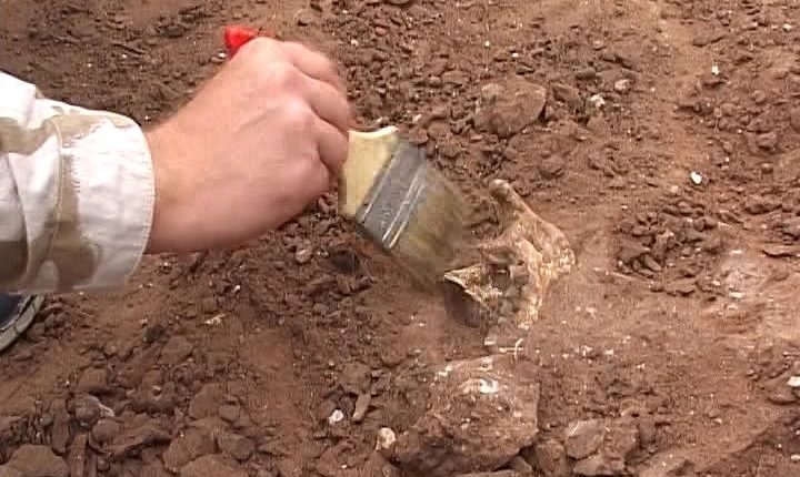 Археологи нашли 3500-летний артефакт из бронзы и золота