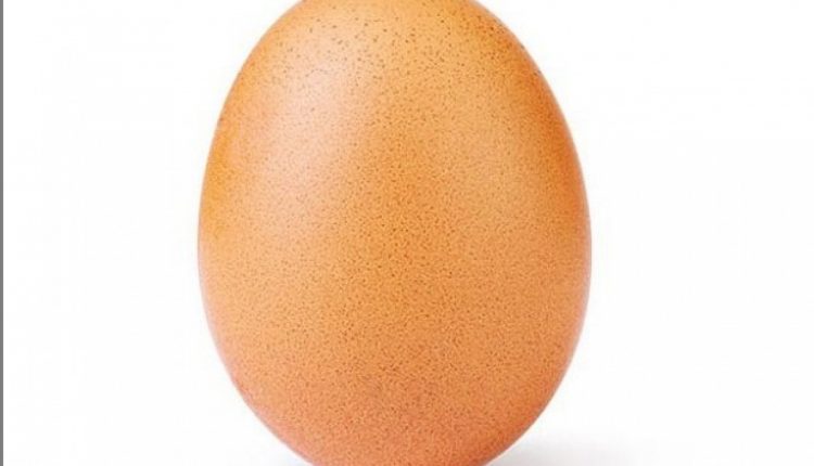Снимок куриного яйца побил рекорд Instagram