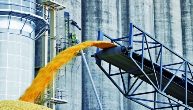 В Госрезерве заявили о критически низких запасах зерна